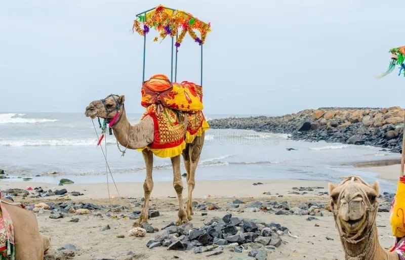 Somnath - Jamnagar to Somnath cab